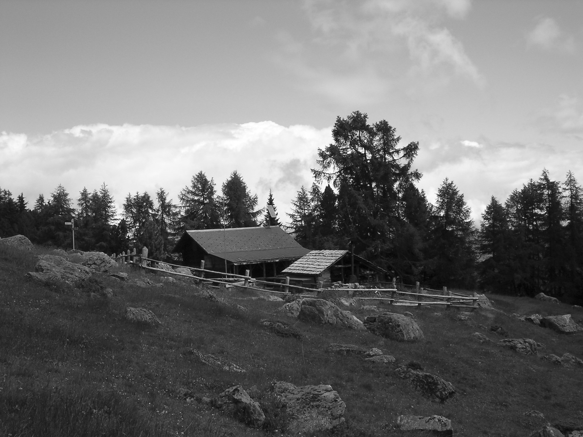 DSCN1723a