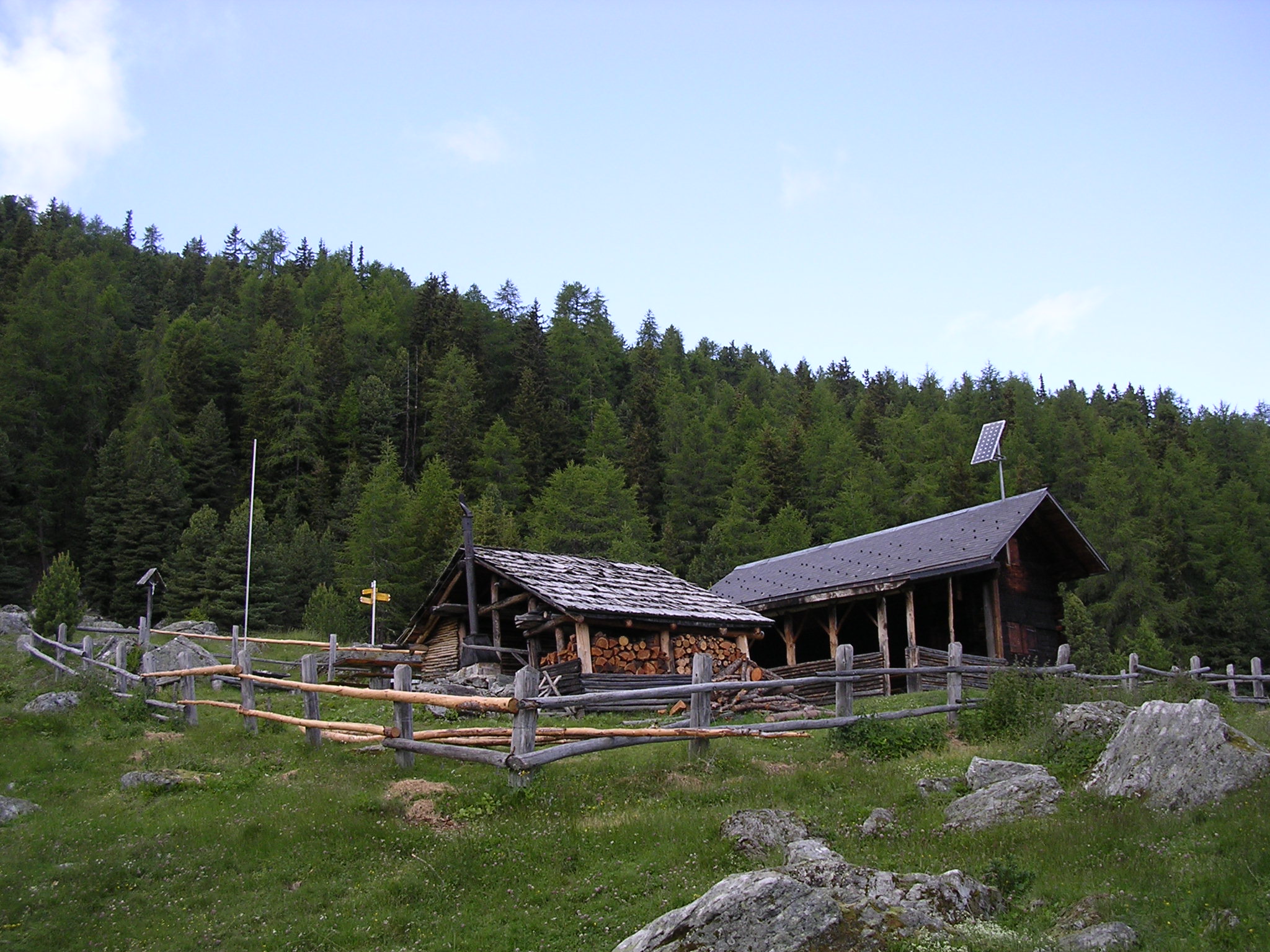 DSCN1753