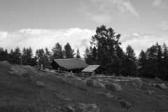 DSCN1723a