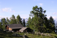 DSCN1766