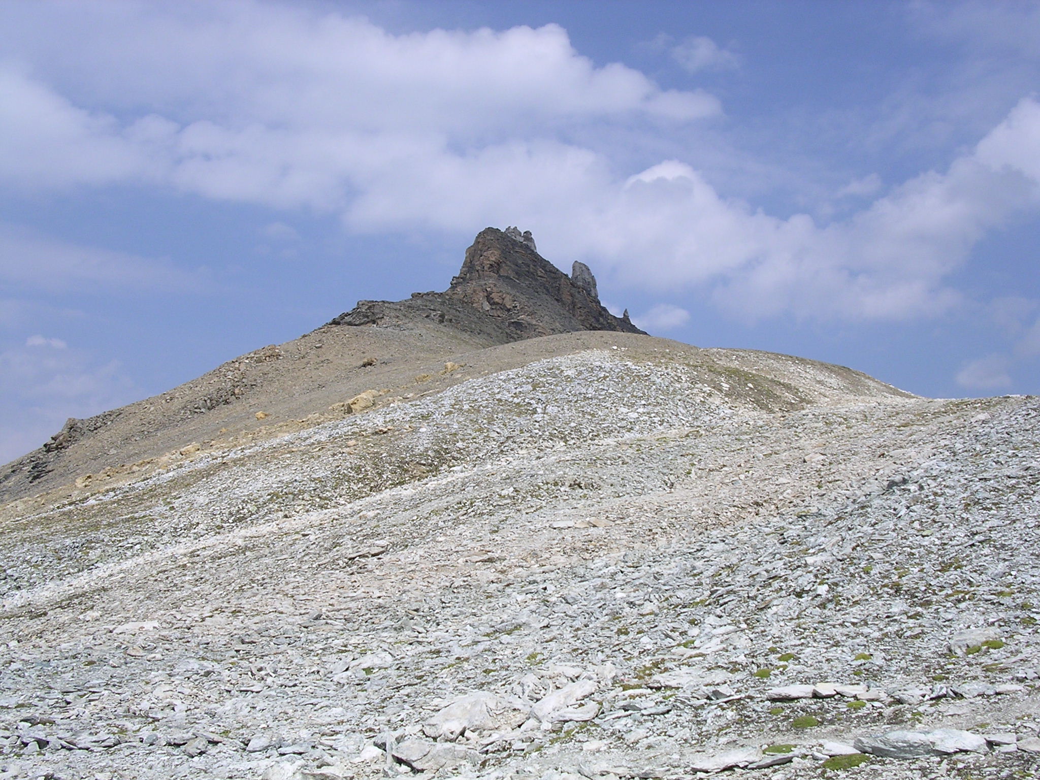 DSCN0447