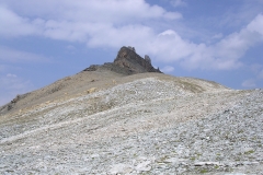 DSCN0447