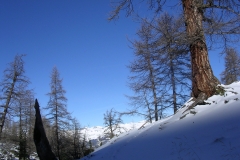 DSCN2460